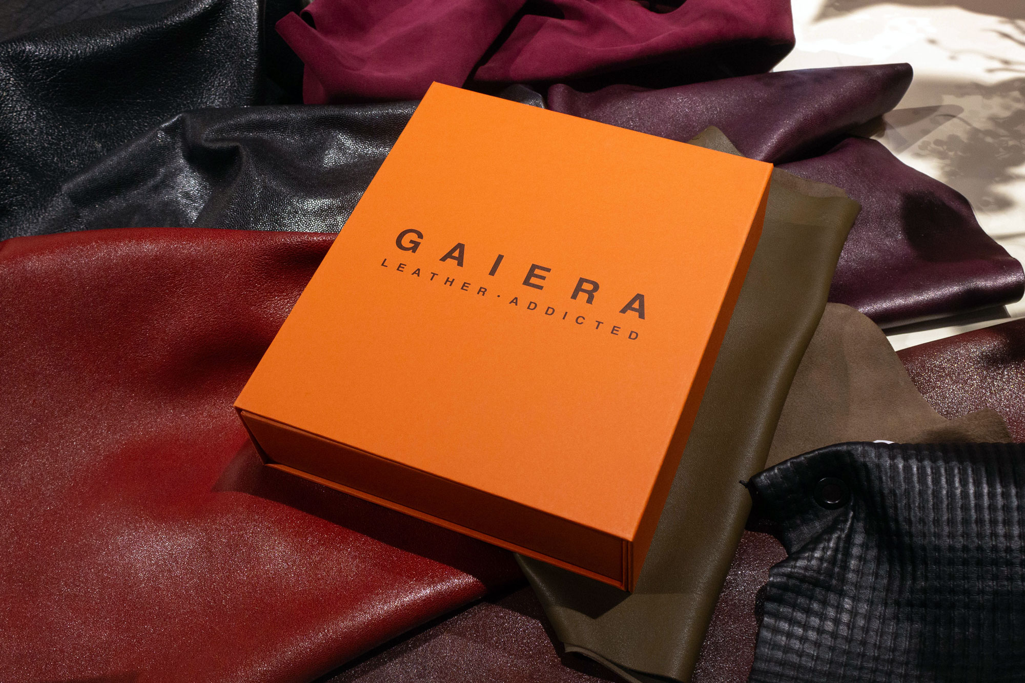 gaiera11_