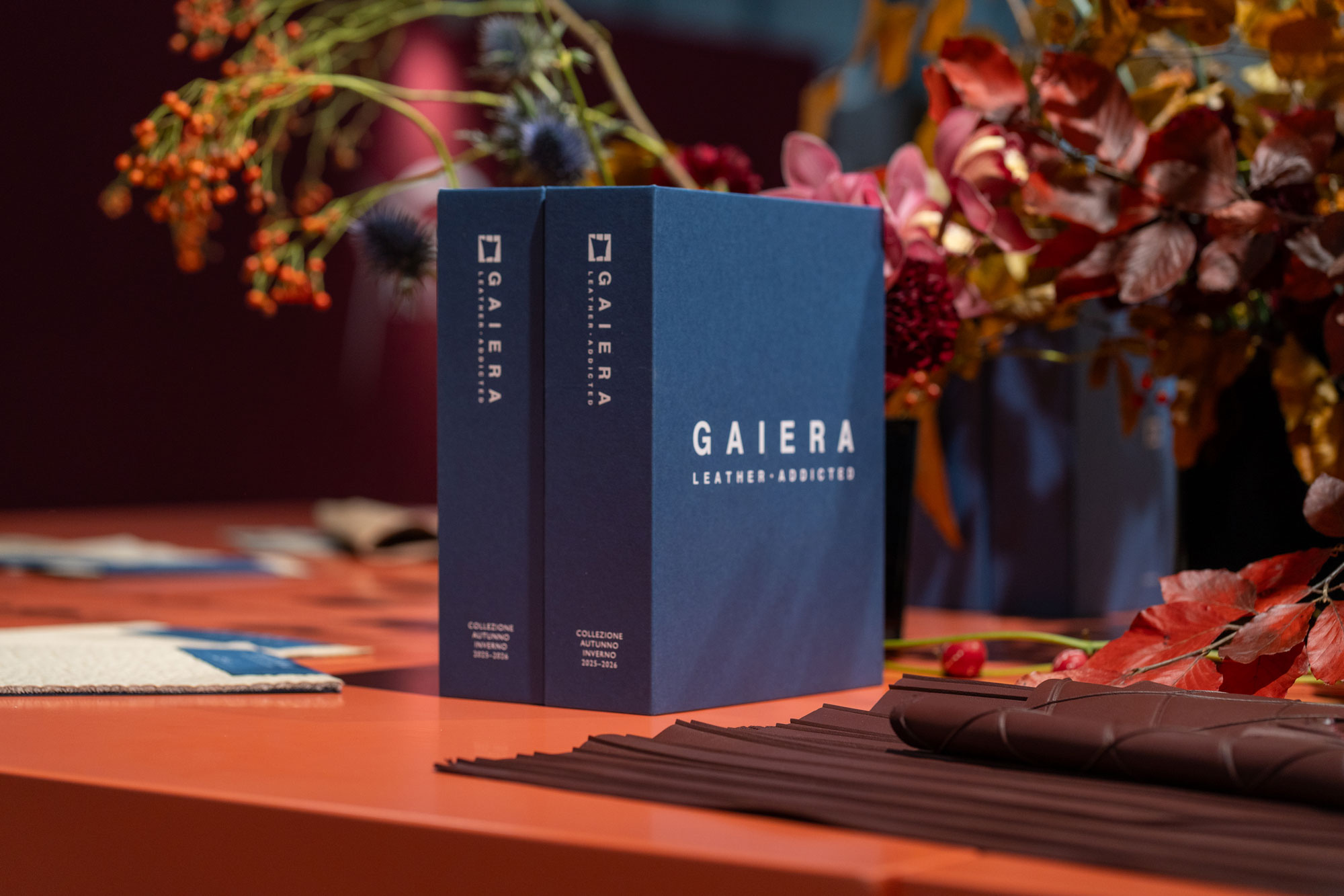 gaiera6_